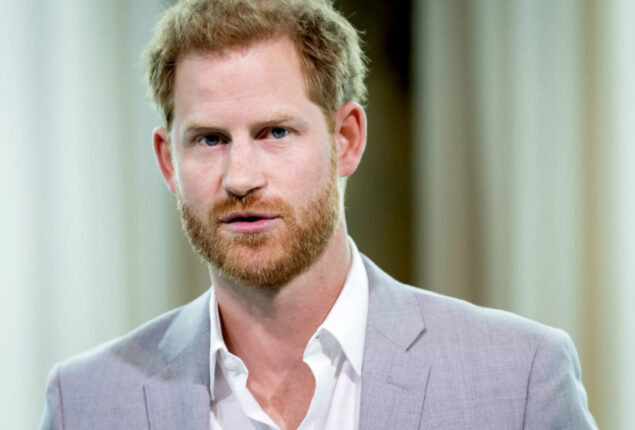 Prince Harry told ‘incendiary’ memoir may ignite ‘forest fires’