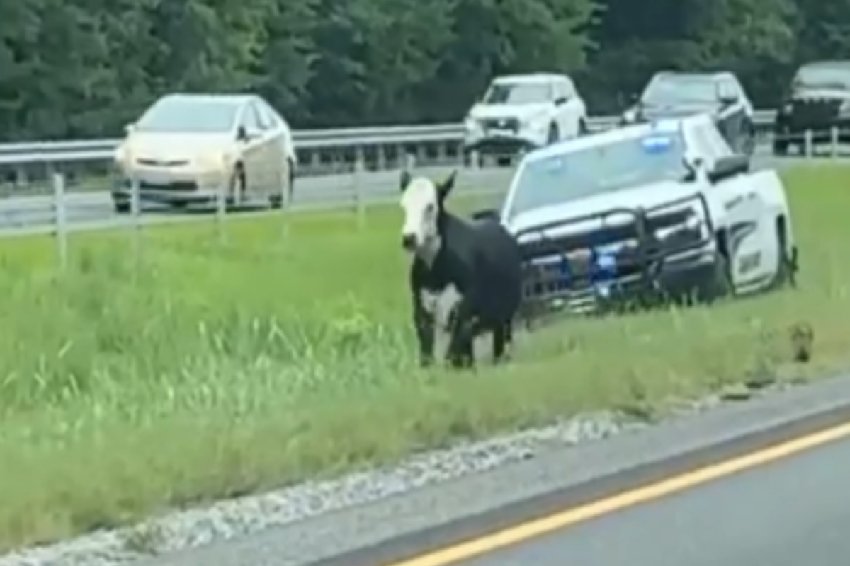 alabama highway