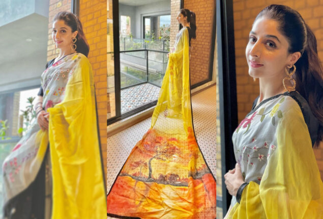Mawra Hocane looks stunning in beautiful outfit; See Photos