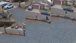 Man save dog