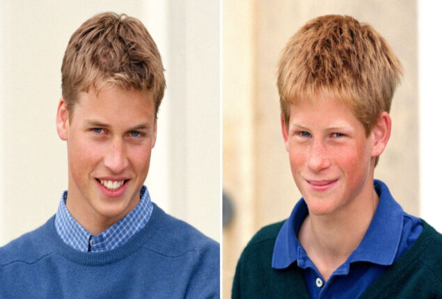 ‘The Crown’ needs a Prince William lookalike for upcoming filming
