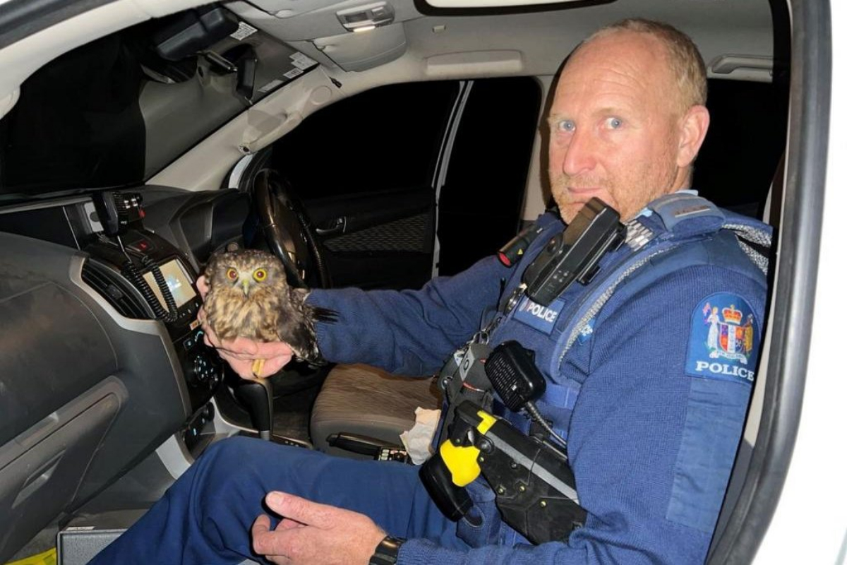 new zealand police