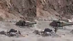 Viral Video: Pakistan Army rescue a drowning man in Kohistan