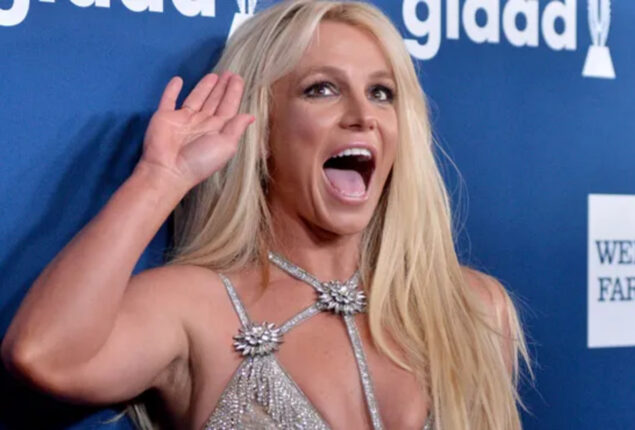 Britney Spears sons & ex-husband plea star to take care of herself