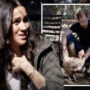 Meghan Markle and Prince Harry told to rescue Montecito chickens
