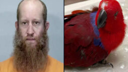 Florida man was arrested for stealing his roommate parrot
