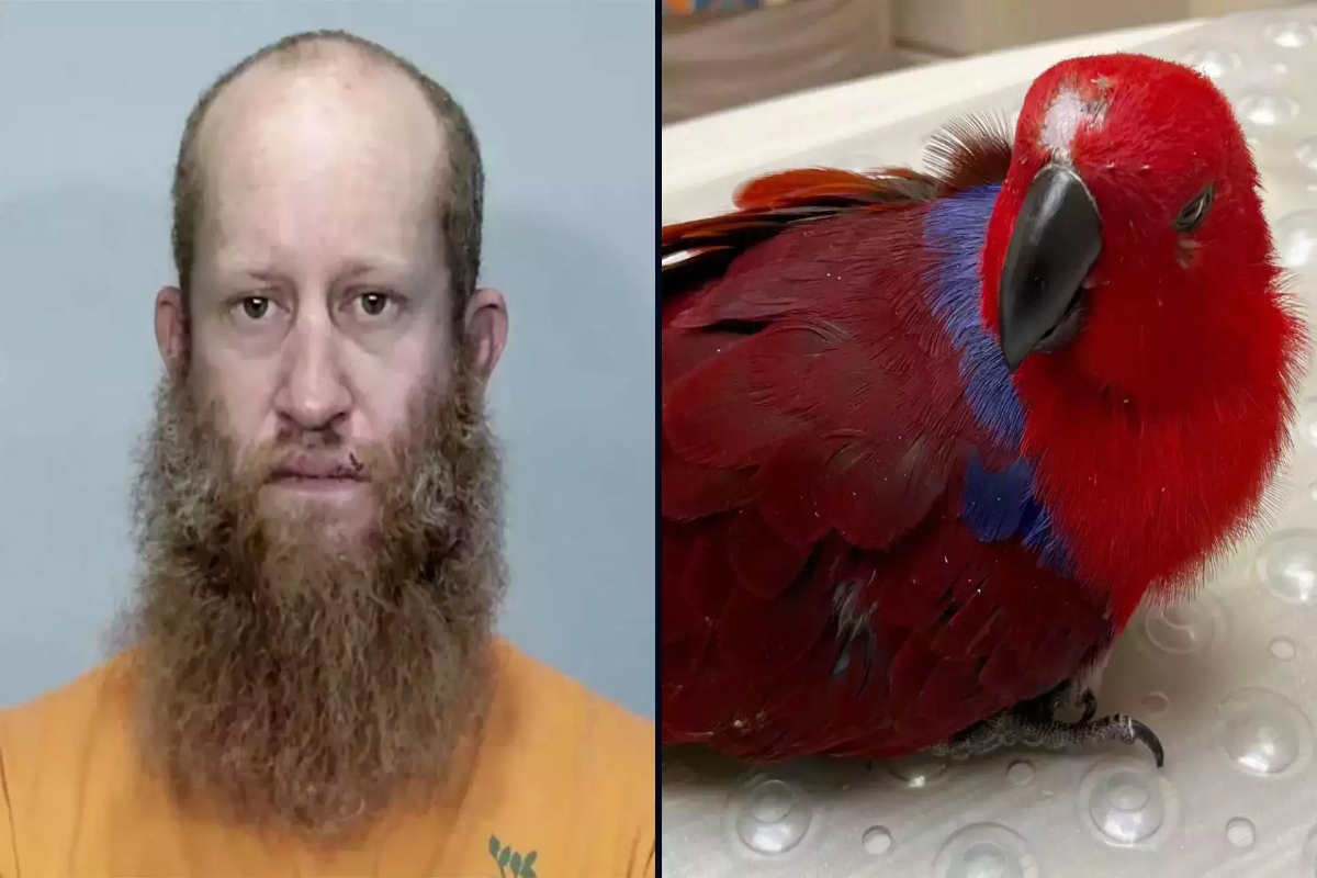 florida man arrested