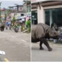 Video of a rhino running down street has gone viral