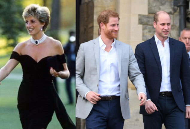 “Prince William and Harry are very much their mother’s boys”