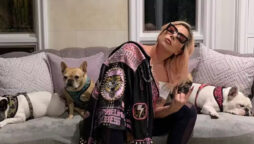 Lady Gaga's dog