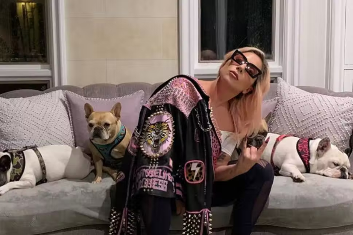 Lady Gaga's dog