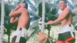 Watch what happens when man dances to “Maar Daala” in front of cow