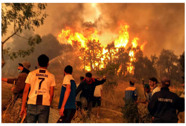 26 dead in Algeria forest fires