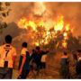 26 dead in Algeria forest fires