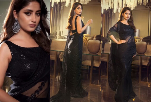 Sajal Aly leaves fans awestruck in gorgeous black saree