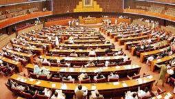 Parliamentarians advocate unity in wake of existing challenges