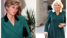Princess Diana was ‘obsessed with Camilla’