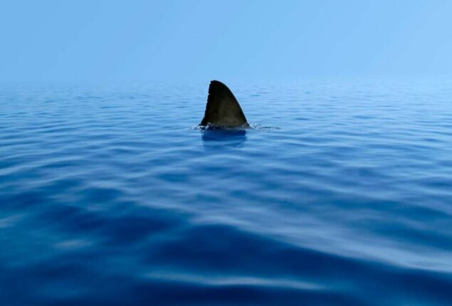 A 10-year-old boy in Florida lost portion leg after shark attack