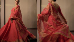 Hania Aamir looks dazzling twirls in Pink Pishwas