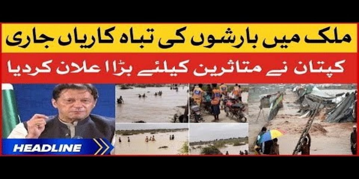 Full article: 'Don't send us a cake, and then let us drown again ...