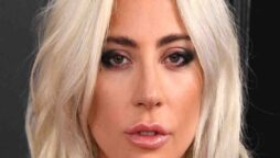 Lady Gaga dog robbery suspect apprehended after mistaken release