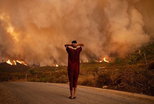 Extreme wildfires to be increased by global warming