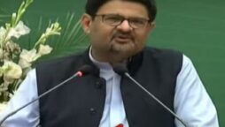 Country on right track but may see bad days ahead: Miftah Ismail