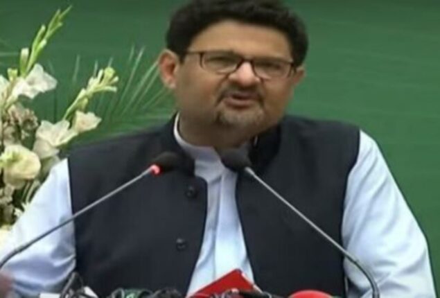 Country on right track but may see bad days ahead: Miftah Ismail