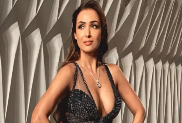 Malaika Arora exudes hotness in a gorgeous black gown