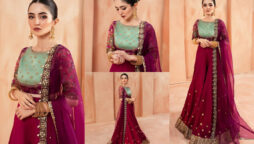 Meerub Ali traditional looks from recent shoot makes her fashionista