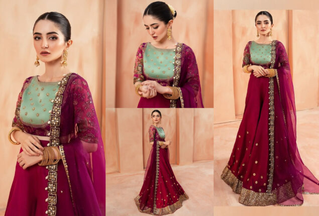 Meerub Ali traditional looks from recent shoot makes her fashionista