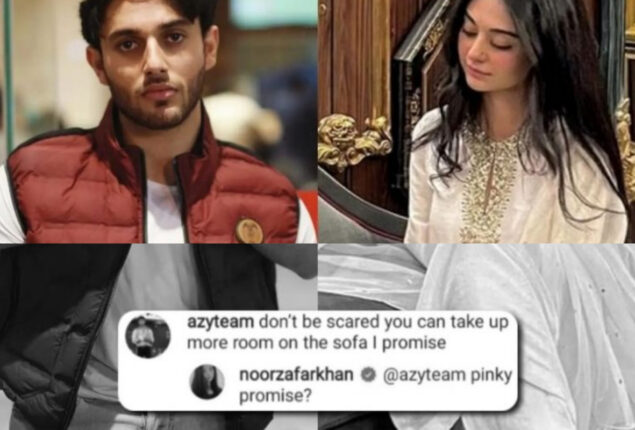 Noor Zafar Khan sparks outrage for praising Adnan Raza Mir
