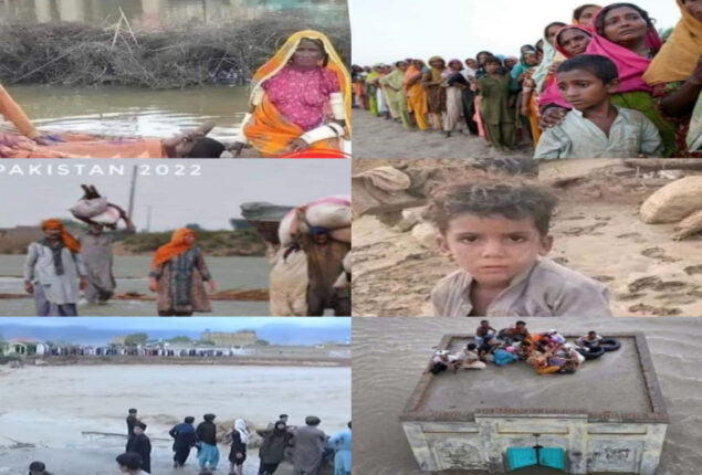 Pakistani Celebrities faces criticized on insensitivity during floods
