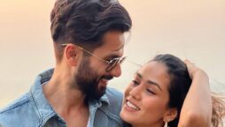 Shahid Kapoor and mira rajput