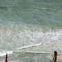 Shark attack in South Carolina Myrtle beach