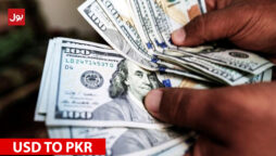 Dollar to PKR – US Dollar rate in Pakistan, 29 Aug 2022