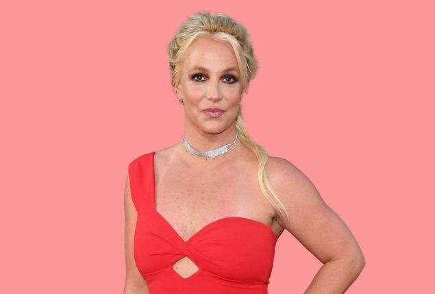 Britney Spears’ mother requests a private meeting with her