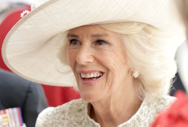 Camilla never was a ‘mother’ to Prince Harry