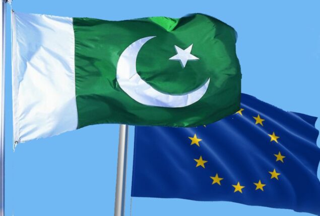EU to provide immediate relief assistance for flood victims