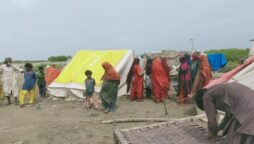 Sindh Weather Update: 12 killed in rain-related incidents