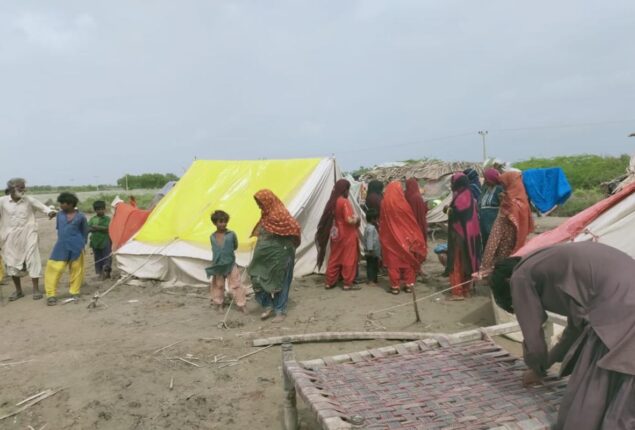 Sindh Weather Update: 12 killed in rain-related incidents