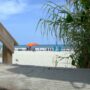 Woman killed by wind-swept umbrella at South Carolina beach