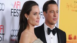 Angelina Jolie’s accusation against Brad Pitt was a smear campaign