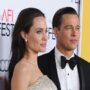 Angelina Jolie’s accusation against Brad Pitt was a smear campaign