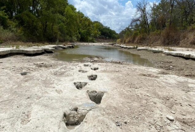 Dinosaur Valley State Park: Dinosaur traces found after severe drought conditions