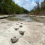 Dinosaur Valley State Park: Dinosaur traces found after severe drought conditions