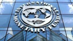 IMF