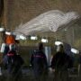 Rescue mission begins to save beluga whale of River Seine