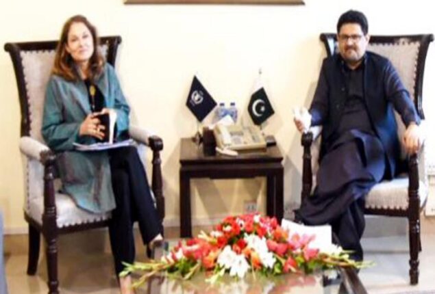 Miftah urges development partners to support flood victims