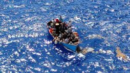 Cruise ship rescues Cuban migrants stranded at sea